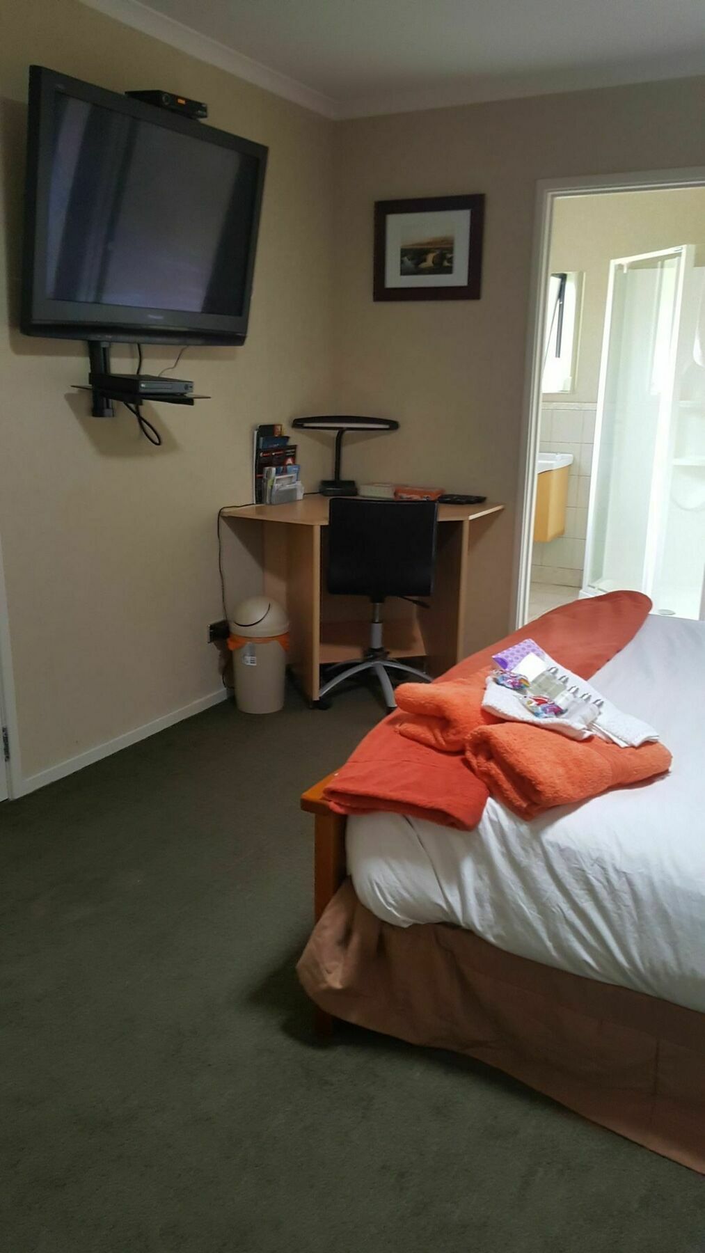 Heta Road B&B New Plymouth Zewnętrze zdjęcie
